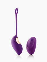 Pillow Talk Love Egg Vibrator